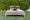 Dream Latex Mattress