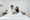 Renew Latex Mattress